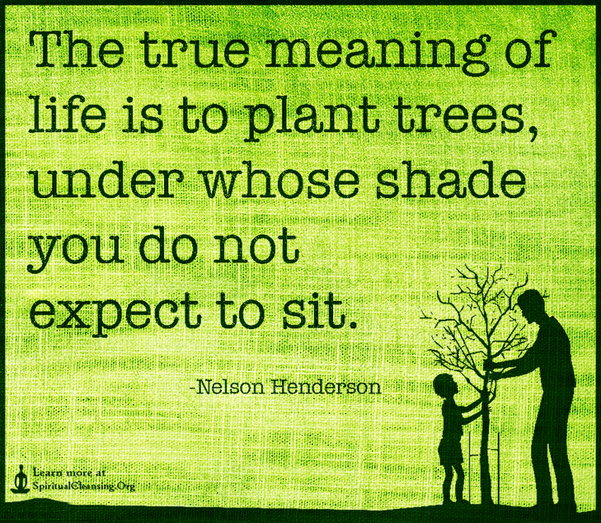 the-true-meaning-of-life-is-to-plant-trees-under-whose-shade-you-do