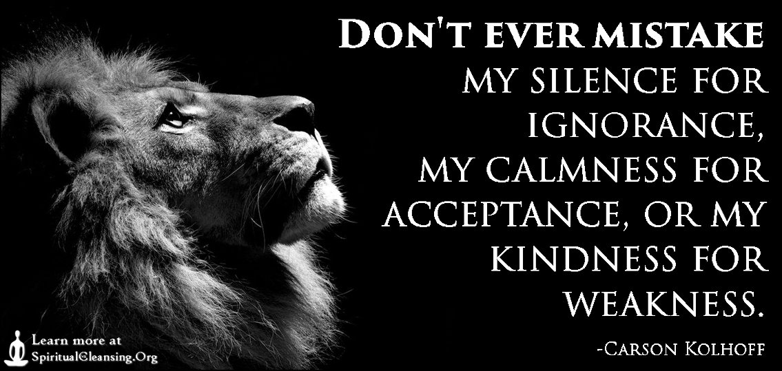 Don't Ever Mistake My Silence For Ignorance, My Calmness For Acceptance, Or My Kindness For Weakness | Spiritualcleansing.org - Love, Wisdom, Inspirational Quotes & Images