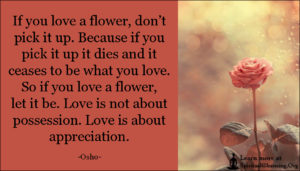 If you love a flower, don’t pick it up. Because if you pick it up it dies and it ceases to be what you love. So if you love a flower, let it be. Love is not about possession. Love is about appreciation.