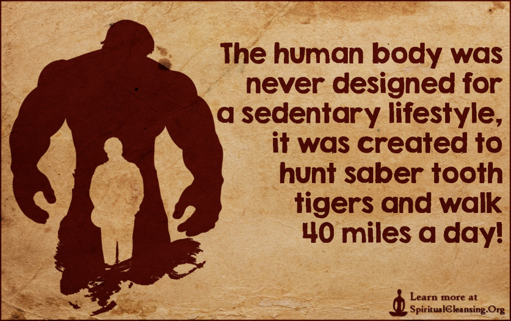 The human body was never designed for a sedentary lifestyle, it was created to hunt saber tooth tigers and walk 40 miles a day!