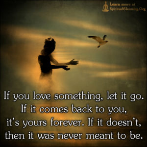 If you love something, let it go. If it comes back to you, it’s yours forever. If it doesn’t, then it was never meant to be.