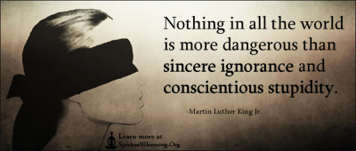 Nothing in all the world is more dangerous than sincere ignorance and conscientious stupidity.