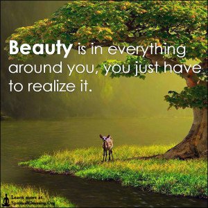 Beauty is in everything around you, you just have to realize it.