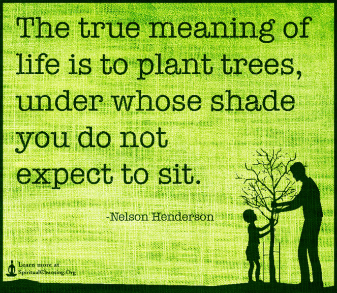 The true meaning of life is to plant trees, under whose shade you do