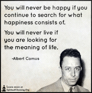 You will never be happy if you continue to search for what happiness consists of.