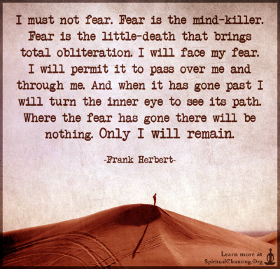 I must not fear. Fear is the mind-killer. Fear is the little-death that brings total obliteration.