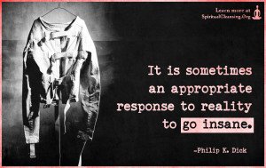 It is sometimes an appropriate response to reality to go insane.