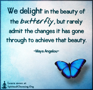 We delight in the beauty of the butterfly, but rarely admit