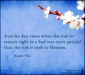 And the day came when the risk to remain tight in a bud was more