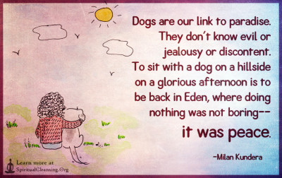 Dogs are our link to paradise. They don't know evil or jealousy or discontent.