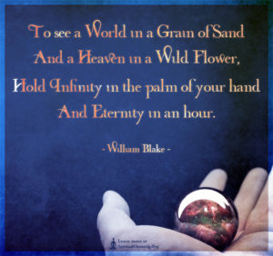To see a World in a Grain of Sand