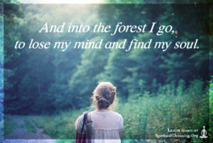 And into the forest I go, to lose my mind and find my soul.