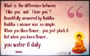 What is the difference between I like you and I love you
