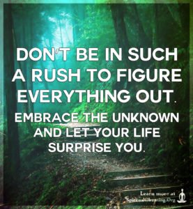 Don’t be in such a rush to figure everything out. Embrace